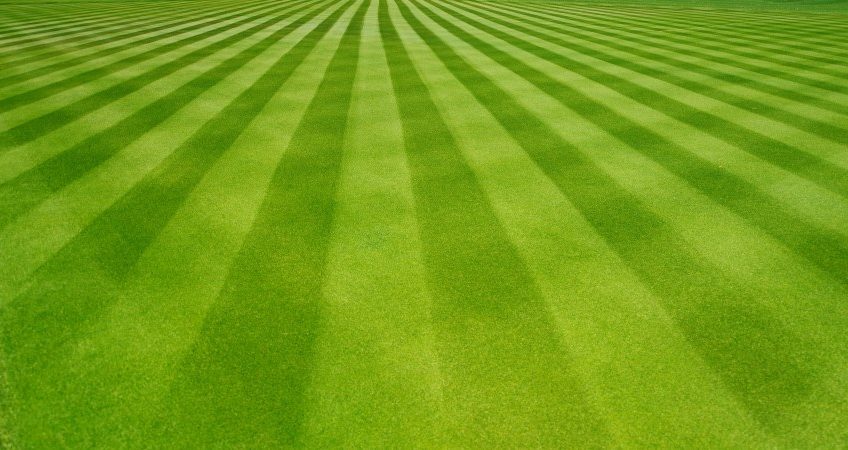 Lawn Striping Tips - How To Mow Stripes In Your Lawn