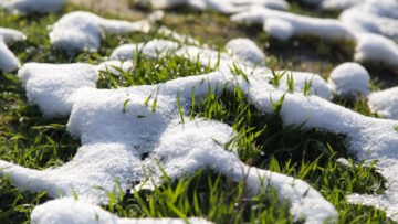 Dormant Grass Seeding
