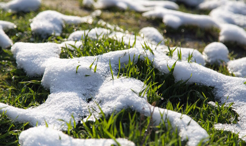 Dormant Grass Seeding